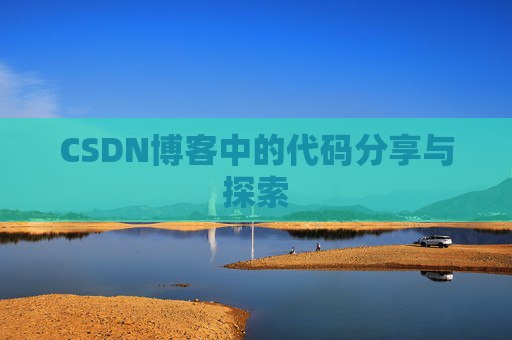 CSDN博客中的代码分享与探索